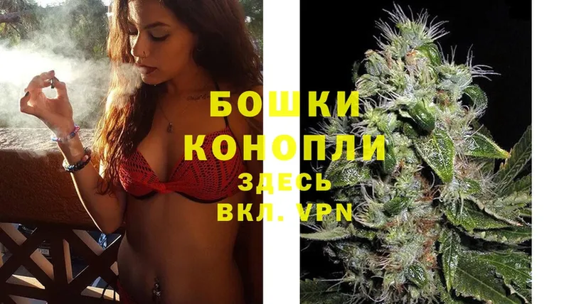 купить  сайты  Новокубанск  Марихуана SATIVA & INDICA 